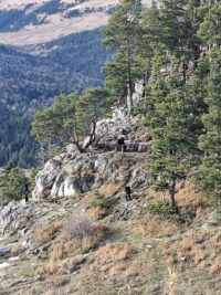 Кавказские заповедные горы