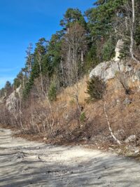 дорога в заповедные горы