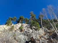 Плато Лагонаки – поездка в другой мир